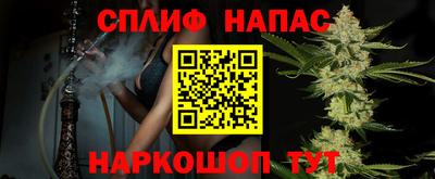 стафф Можга