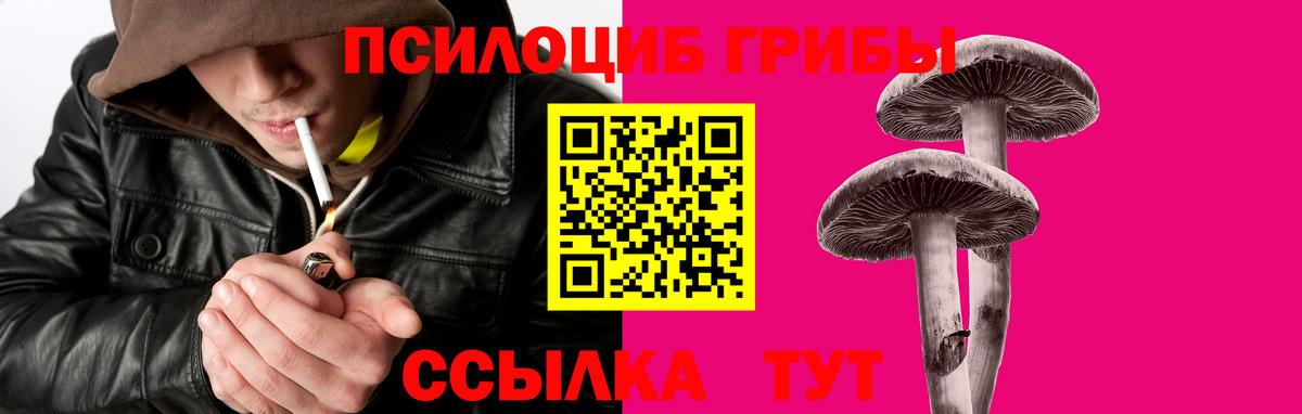 Псилоцибиновые грибы Magic Shrooms  Псилоцибиновые грибы Magic Shrooms  Ростов-на-Дону  Вход с VPN 
